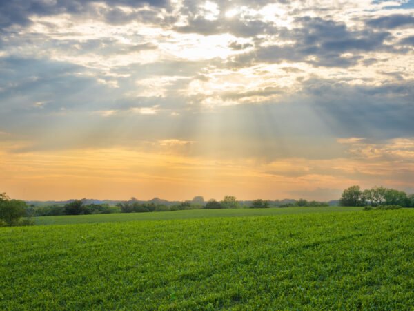 Sun rays shining through clouds